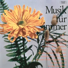 Musik Für Immer