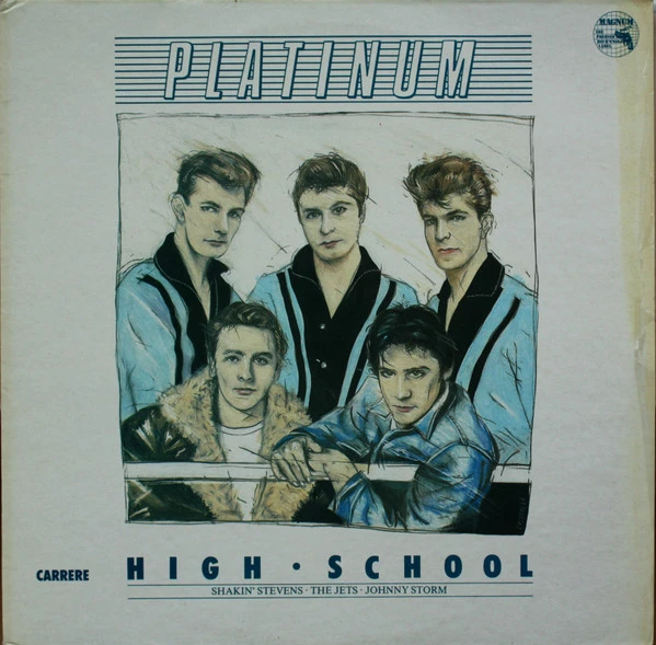 Platinum High School