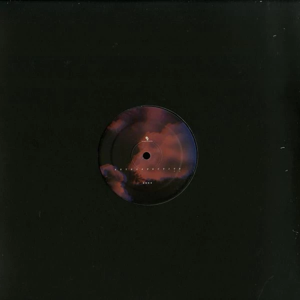 Image of the ordered vinyl