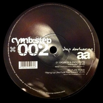 Image of the ordered vinyl