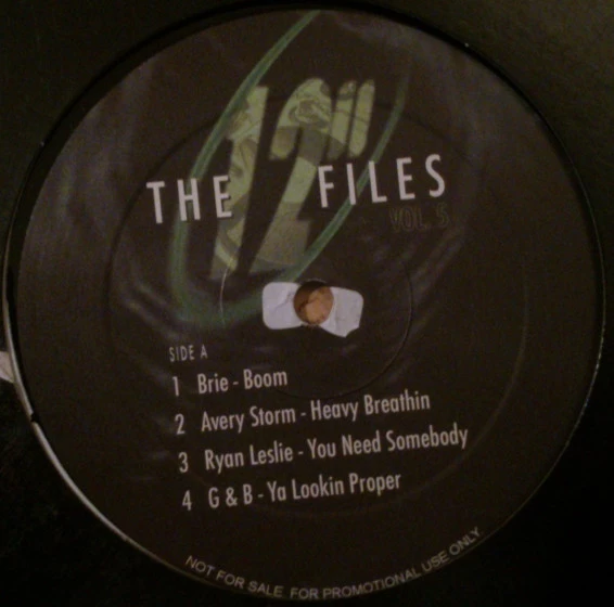 Item The 12" Files Vol. 5 product image