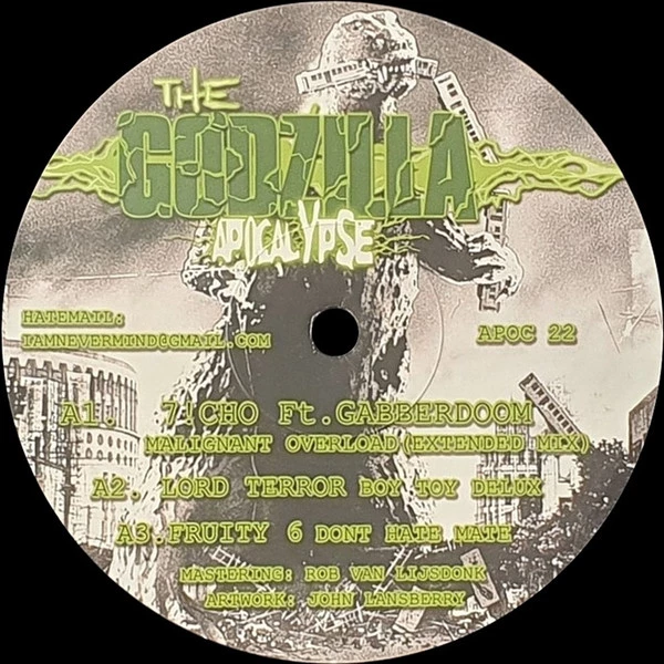 Image of the ordered vinyl