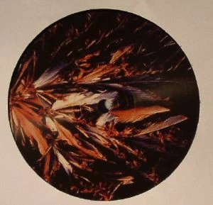 Image of the ordered vinyl