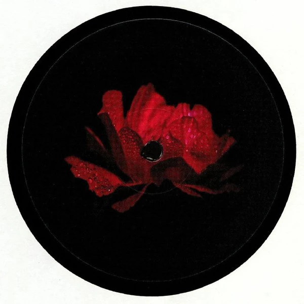 Image of the ordered vinyl