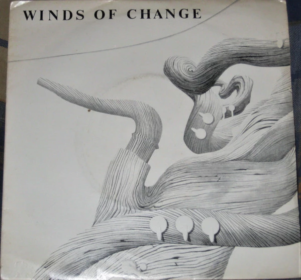 Image of the ordered vinyl