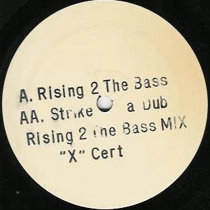 Item Rising 2 The Bass / Strike A Dub product image