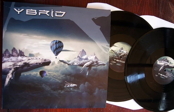 Image of the ordered vinyl